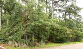 6450 Manship Rd, Brandon, MS 39047