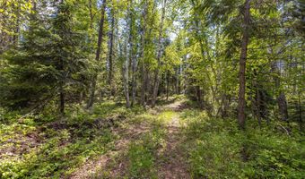 Nhn Red Hawk Drive, Bigfork, MT 59911