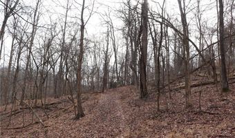 Route 12 Road, Alum Creek, WV 25003