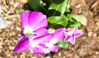 20435 E Wagon Wheel Cir, Black Canyon City, AZ 85324