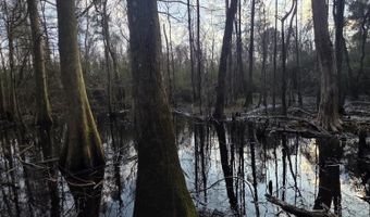 U.S. Highway 51, Bogue Chitto, MS 39629