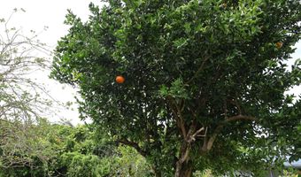 321 PAKIKA Pl, Hilo, HI 96720
