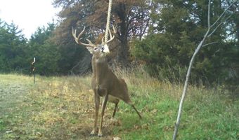 189 Th St, Albia, IA 52531