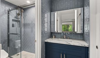 332 VINE St, Aspen, CO 81611