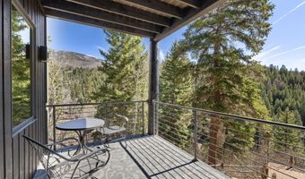 1340 Mclaughlin Ln, Basalt, CO 81621