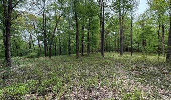 Lot 29 Oak Drive, Albright, WV 26519