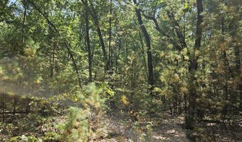 Lot 36 Wildwood Drive, Allegan, MI 49010