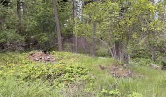 NNA Glacier Loop, Bayview, ID 83803