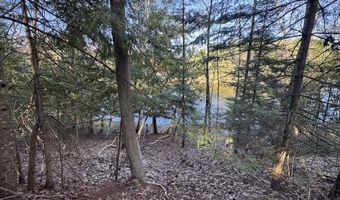 V/L Wildwood Road lot 9, Alger, MI 48610