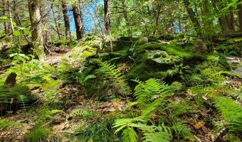 266 Ursa Ridge Rd, Brattleboro, VT 05301