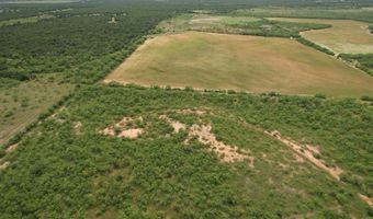 FM 600, Anson, TX 79501