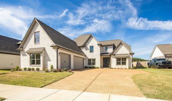 12064 STROMNESS Cv, Arlington, TN 38002