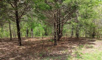 23774 Farm Road 2085, Aurora, MO 65605