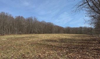 Lot 2 Doig Hollow Road, Andes, NY 13731