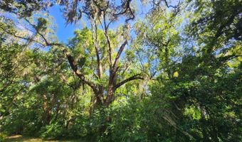 1985 NE 97TH STREED Rd, Anthony, FL 32617