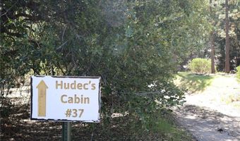 30 Seven Oaks Rd 30, Angelus Oaks, CA 92305