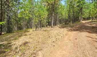 NNA USFS 2550 40 acres, Blanchard, ID 83804