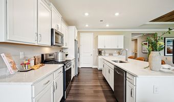 34009 Skyflower Loop, Lewes, DE 19958