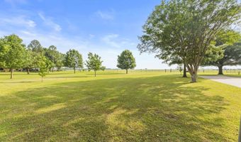 130 Blazek Rd, Alba, TX 75119