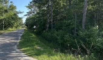 0001 Dickerson City Rd, Bagdad, FL 32583