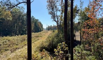 TBD Binnicker Bridge Road, Bamberg, SC 29003