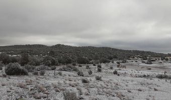 1793 Sunnyview Ln, Clay Springs, AZ 85923