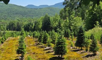 374 Crank Rd, Bloomfield, VT 05905