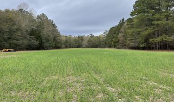 7901 Ashleigh Rd, Blackville, SC 29817