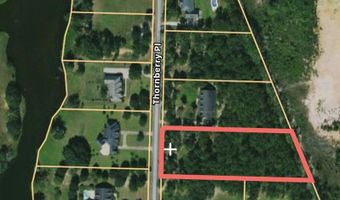 209 Thornberry Pl, Ashford, AL 36312