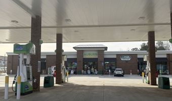 44 Auburn Gate Ln, Auburn, GA 30011