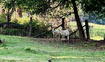 14446 Black Hollow Rd, Abingdon, VA 24210