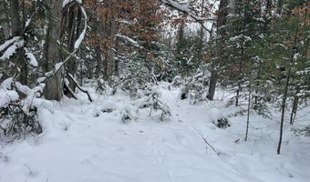 9606 MUNGER Rd, Afton, MI 49705