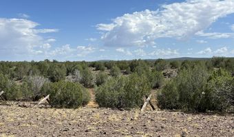 76 N Cattle Dr, Ash Fork, AZ 86320