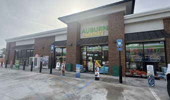 44 Auburn Gate Ln, Auburn, GA 30011