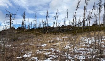 2025 Granite Rd, Bellvue, CO 80512