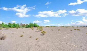 3699 S Miner Rd, Amargosa Valley, NV 89020