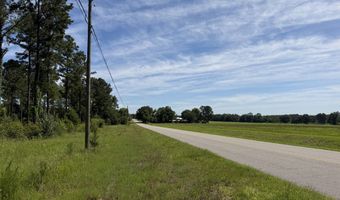 0 S County Road 33, Ashford, AL 36312