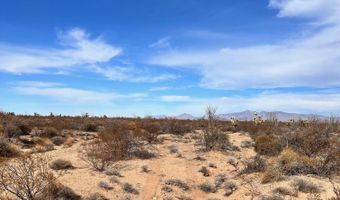 Lot 166 Lake Havasu Acres, Yucca, AZ 86438