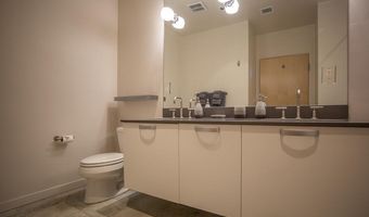 231 Robinson Street 330, Basalt, CO 81621