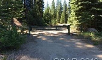73 Prather Meadow Rd, Arnold, CA 95223