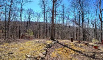 497 Cherokee Trl, Ball Ground, GA 30107