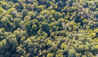 County Road 1320 lot Between County Roads 1324, Bardwell, KY 42023