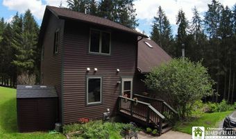 3220 Mcclure Hollow Rd, Allegany, NY 14706