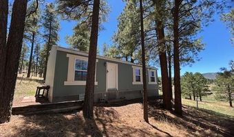 450 County Road 2104, Alpine, AZ 85920