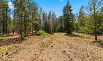 NKA 10-Ac E Parks Rd, Athol, ID 83801