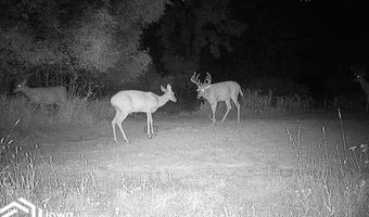 560 Th Ave, Albia, IA 52531