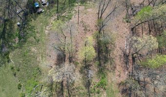 Tract 4 0000 Private Road 1184, Aurora, MO 65605