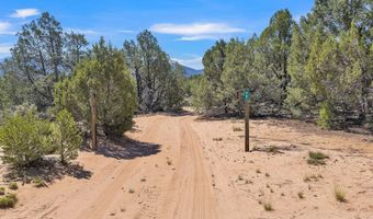 77 North Rd, Carson, NM 87517