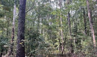 Brock Cir, Brandon, MS 39042