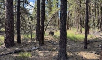 Thunder Bear Road, Bonanza, OR 97623